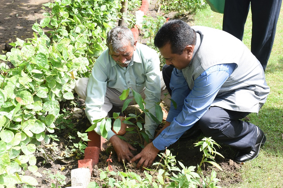 Shri  P.Udayakumar, Director(P&M),NSIC celebrating the 73rd Independence Day  at NSIC led  a Saplings Plantation initiative at NSIC alongwith  employees  in the NSIC Campus. Speaking on this Occasion Director(P&M),NSIC stated that Trees provide us with many benefits necessary for survival, including clean air, filtered water, shade, and food. They also give us hope and insight, and courage to persevere – even in the harshest conditions. Trees teach us to stay rooted while soaring to great heights and we must inculcate a habit of taking utmost care of them in our daily life,he added.