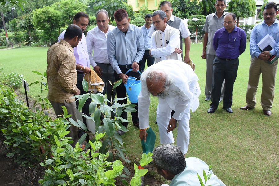 Shri Pratap Chandra Sarangi, Hon'ble Minister of State ,MSME  during his visit to NSIC on 28th August planted a sapling in the Corporate Office. Someone is sitting in the shade today because someone planted a tree  longtime ago . A sapling was also planted by   Shri Ram Mohan Mishra ,CMD,NSIC . 