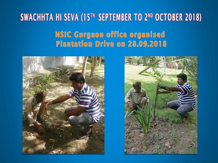 NSIC Gurgaon office organised Plantation Drive on 28-09-2018