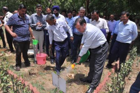 The National Small Industries Corporation Ltd.-NSIC Technical Services Centre, Okhla, Celebrated “Harit Saptah” on 21.06.2018, wherein honorable CMD NSIC, Sh. Ravindra Nath and Mr. Manish Walia, Vice President, Delta Electronics India planted saplings. 32 saplings of fruit bearing trees were planted. Also present the occasion were Sh. Navin Chopra CGM (SG)-Works, Sh. Satvinder Singh (CGM-Tech.), Sh. Sunil Tyagi (GM-International Corporate) & Sh. Rajesh Kumar Tripathi (GM-HR).